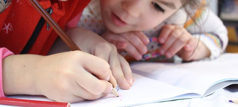 Üniversitelerde, ilk ve orta öğretimde yaz tatilinde eğitim verilecek