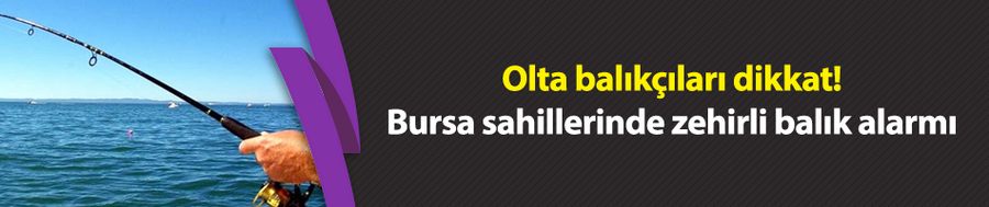 Olta balıkçıları dikkat! Bursa sahillerinde zehirli balık alarmı