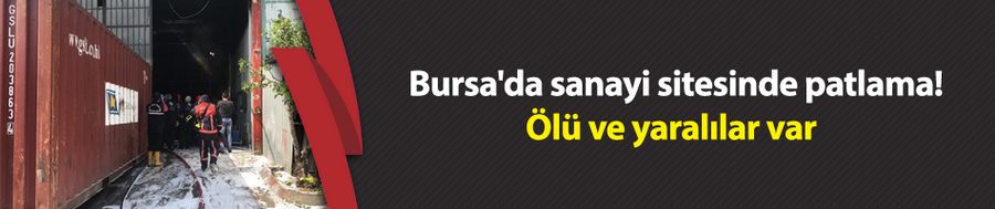 Bursa
