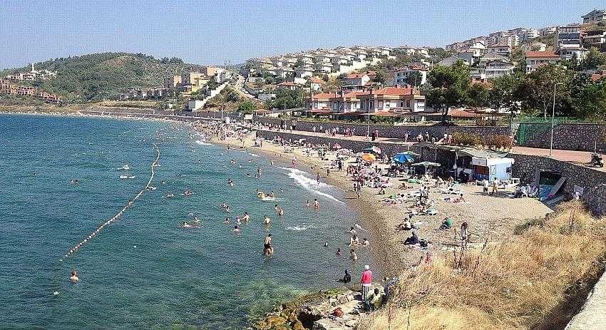 Bursa