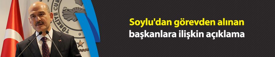 Soylu
