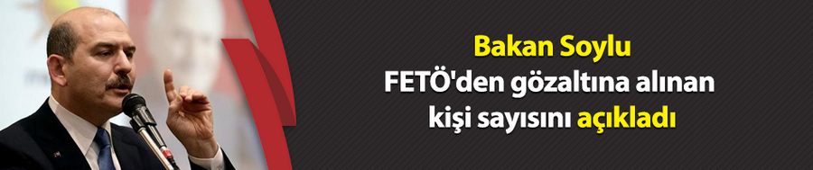 Bakan Soylu, FETÖ