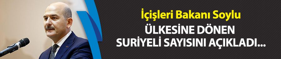 İçişleri Bakanı Soylu: 291 bin 790 Suriyeli ülkesine döndü