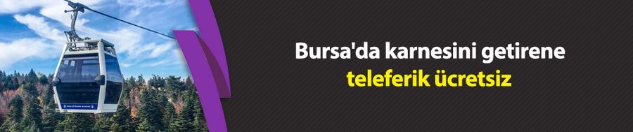 Bursa