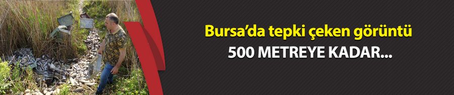 Bursa