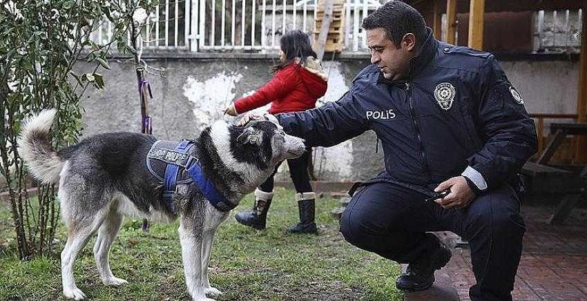 Sokak hayvanlarına sahip çıkan karakol