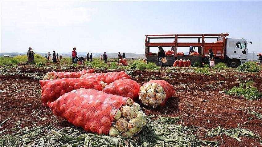 Hatay