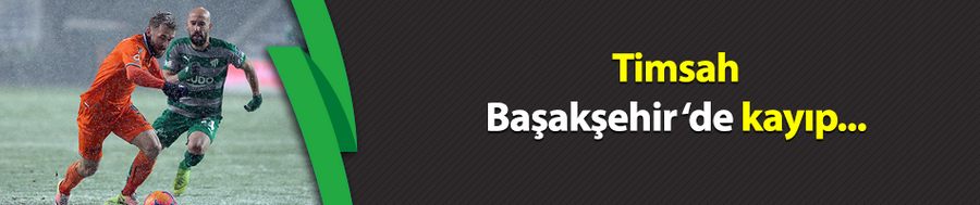 Timsah Başakşehir