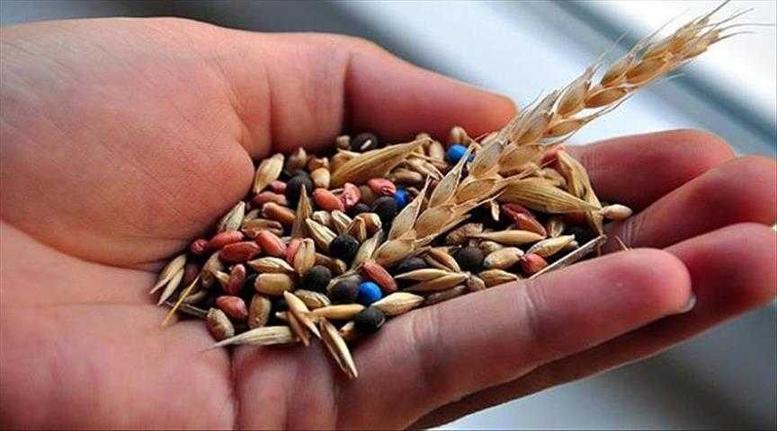 Yerli tohumlara 7 yeni çeşit eklendi