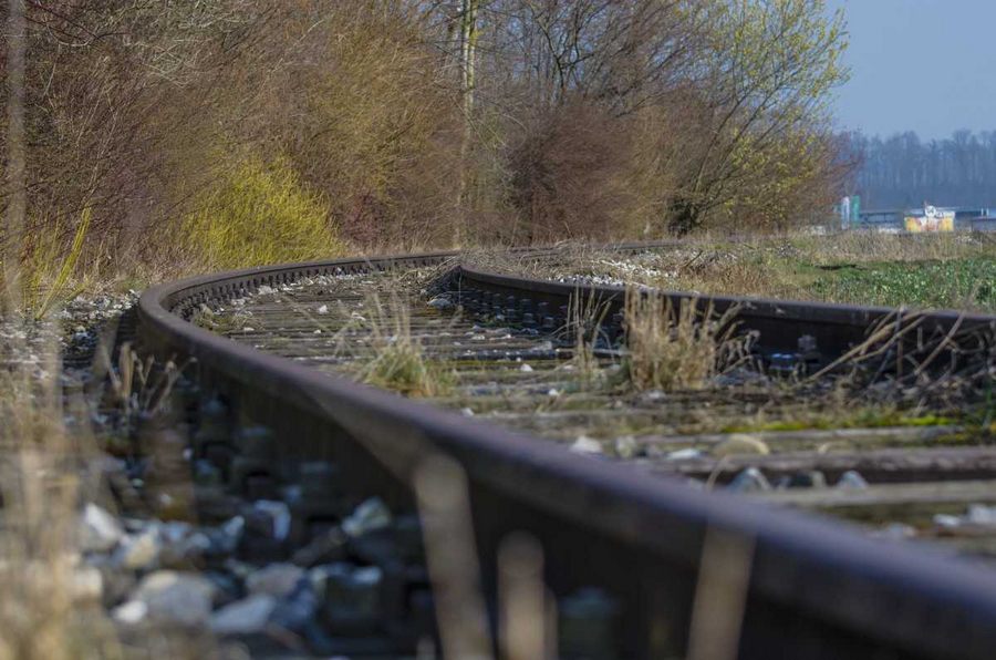 Gemlik treni meyve ağaçlarına takıldı: TCDD yeni yol arıyor!