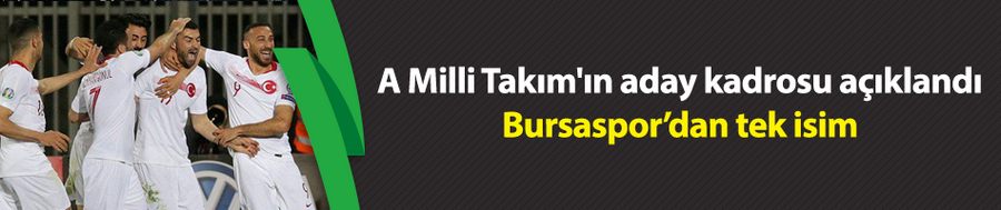 A Milli Takım
