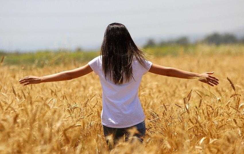 Buğday hasadı başladı, çiftçinin yüzü gülüyor