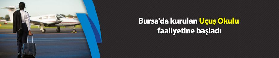 Bursa