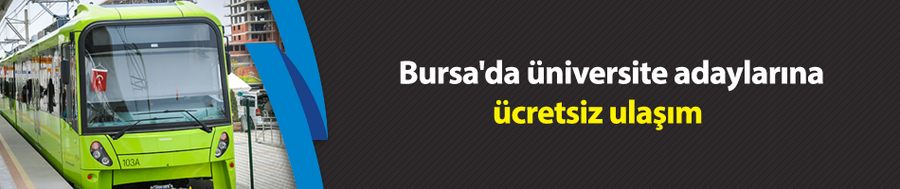 Bursa