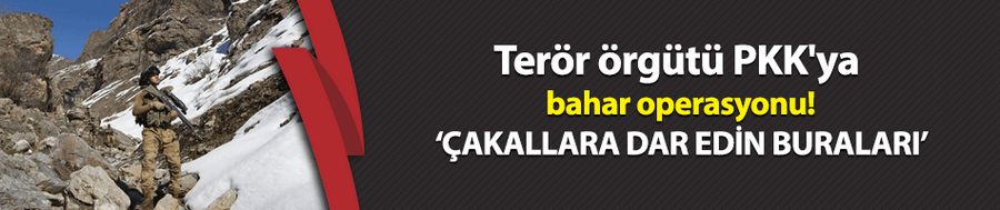Terör örgütü PKK