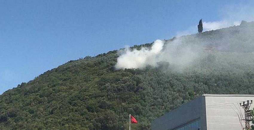 Bursa