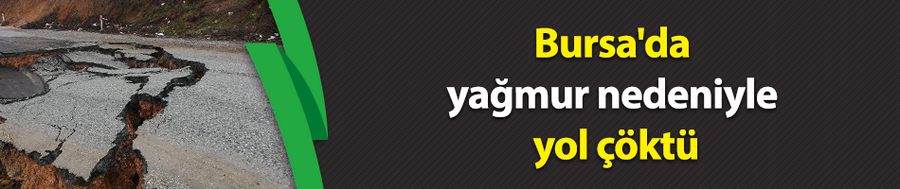 Bursa
