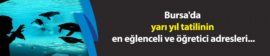 Bursa