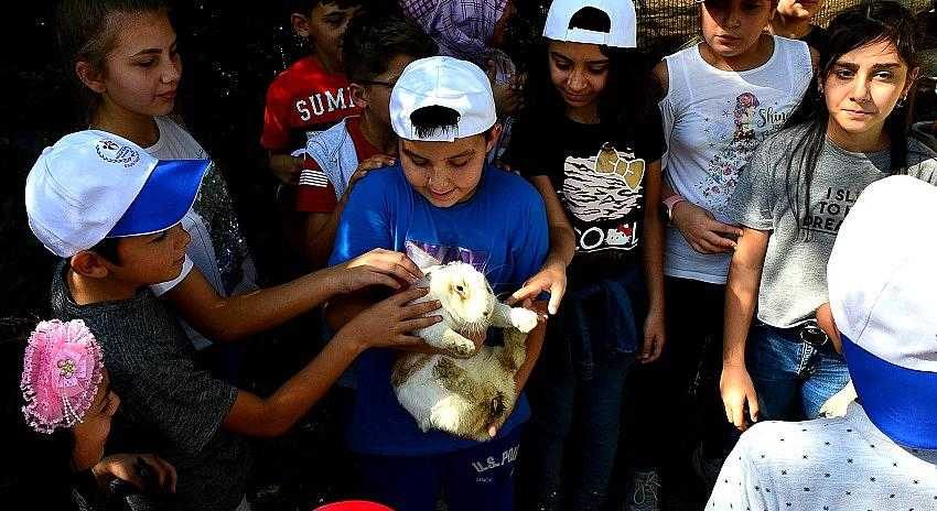 Ruhun gıdası hayvan sevgisi ile birleşti