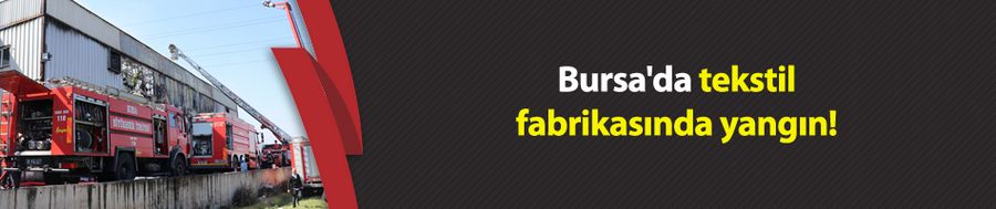 Bursa