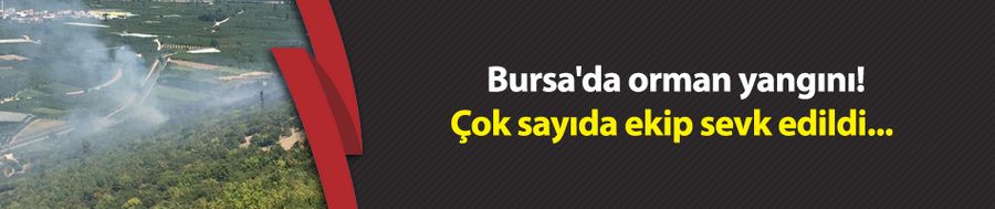 Bursa
