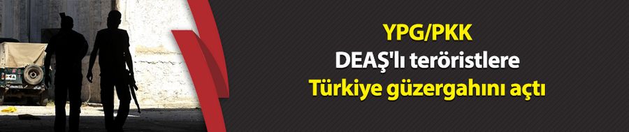 YPG/PKK, DEAŞ