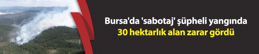 Bursa
