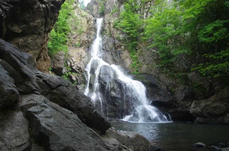 Bursa