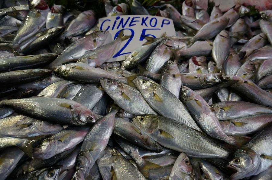 Çinekop bolluğu ucuzluk getirdi